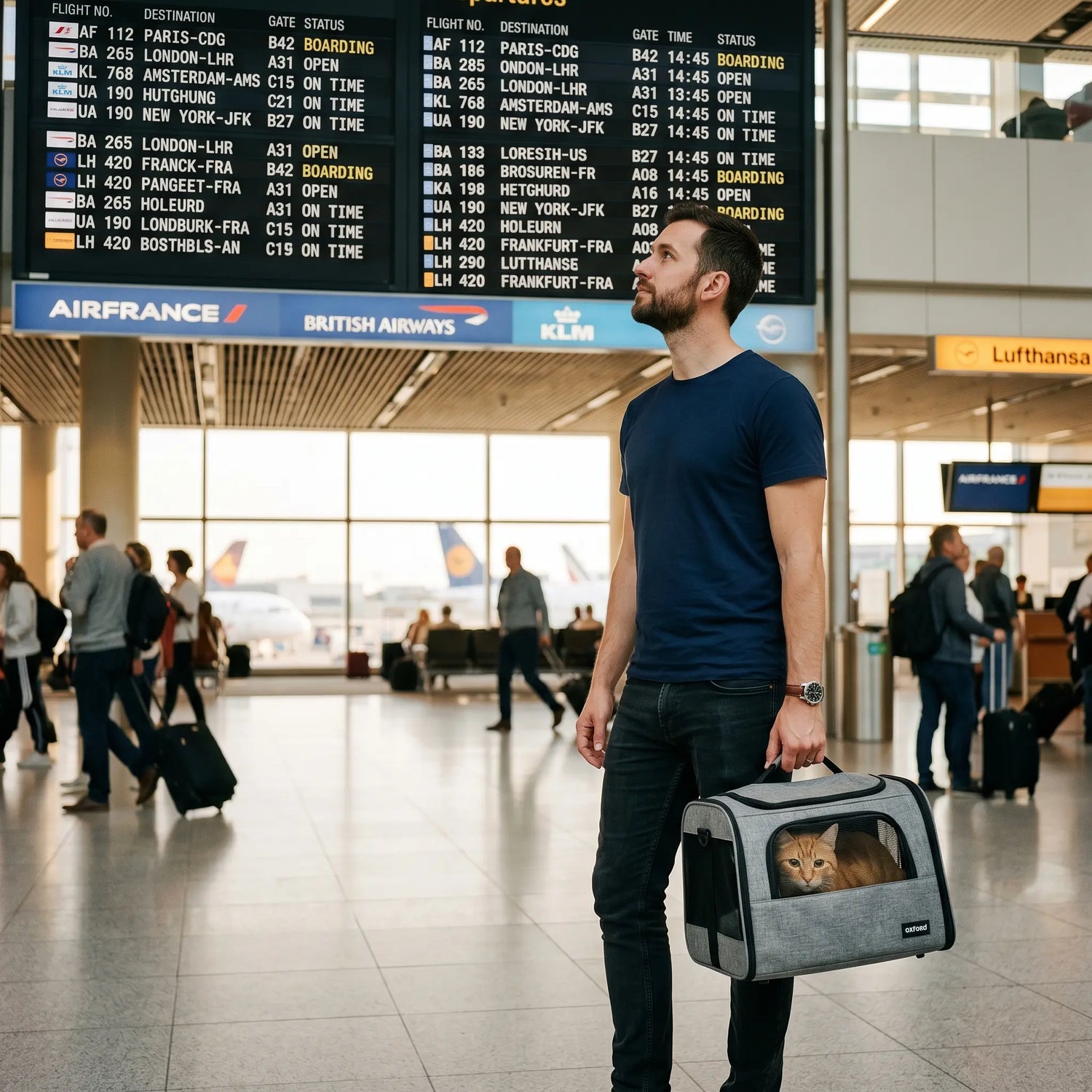 guide-voyager-avion-chat-2026-homme-aeroport-international-sac-transport-chat-roux-tableau-departs-airfrance-klm-lufthansa