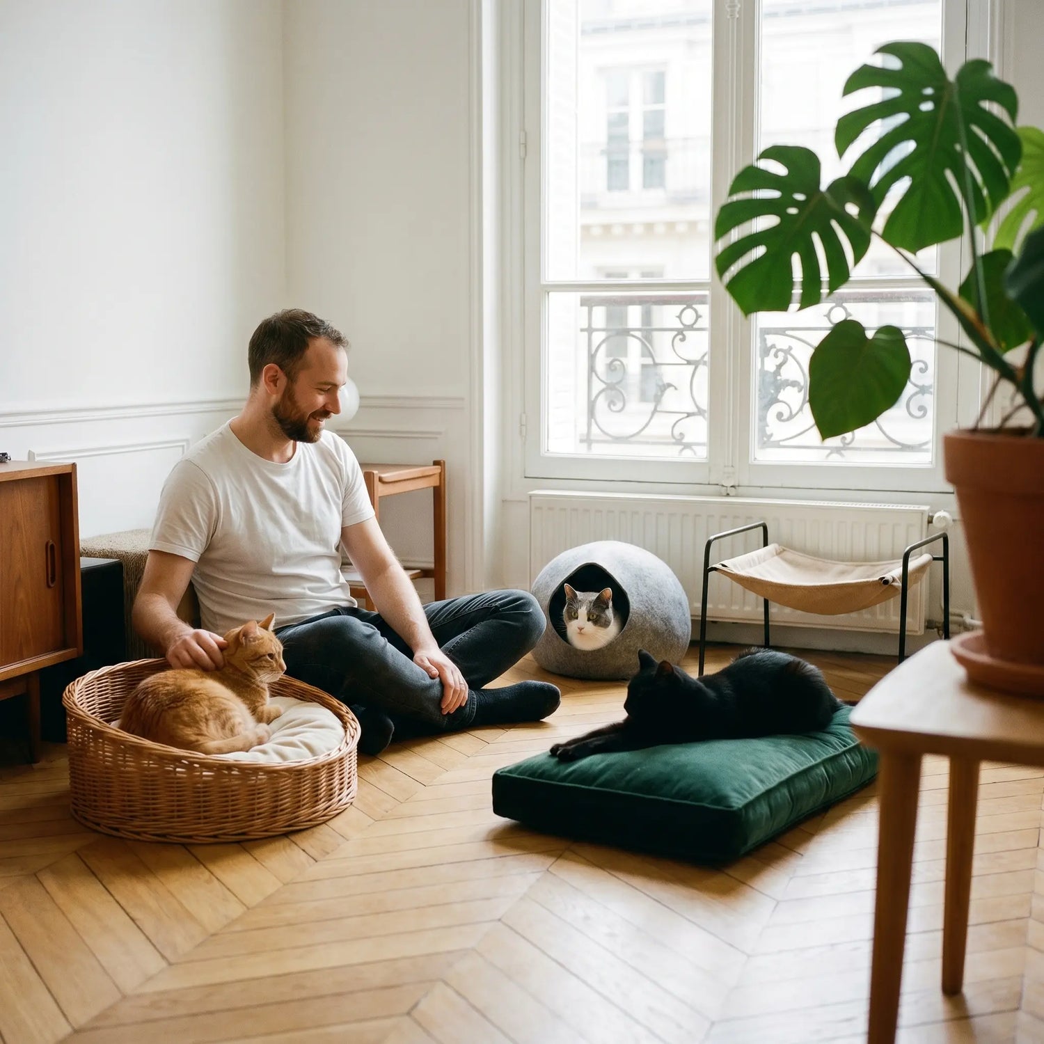 panier-pour-chat-appartement-parisien-canapé-pour-chat-osier-cocon-pour-chat