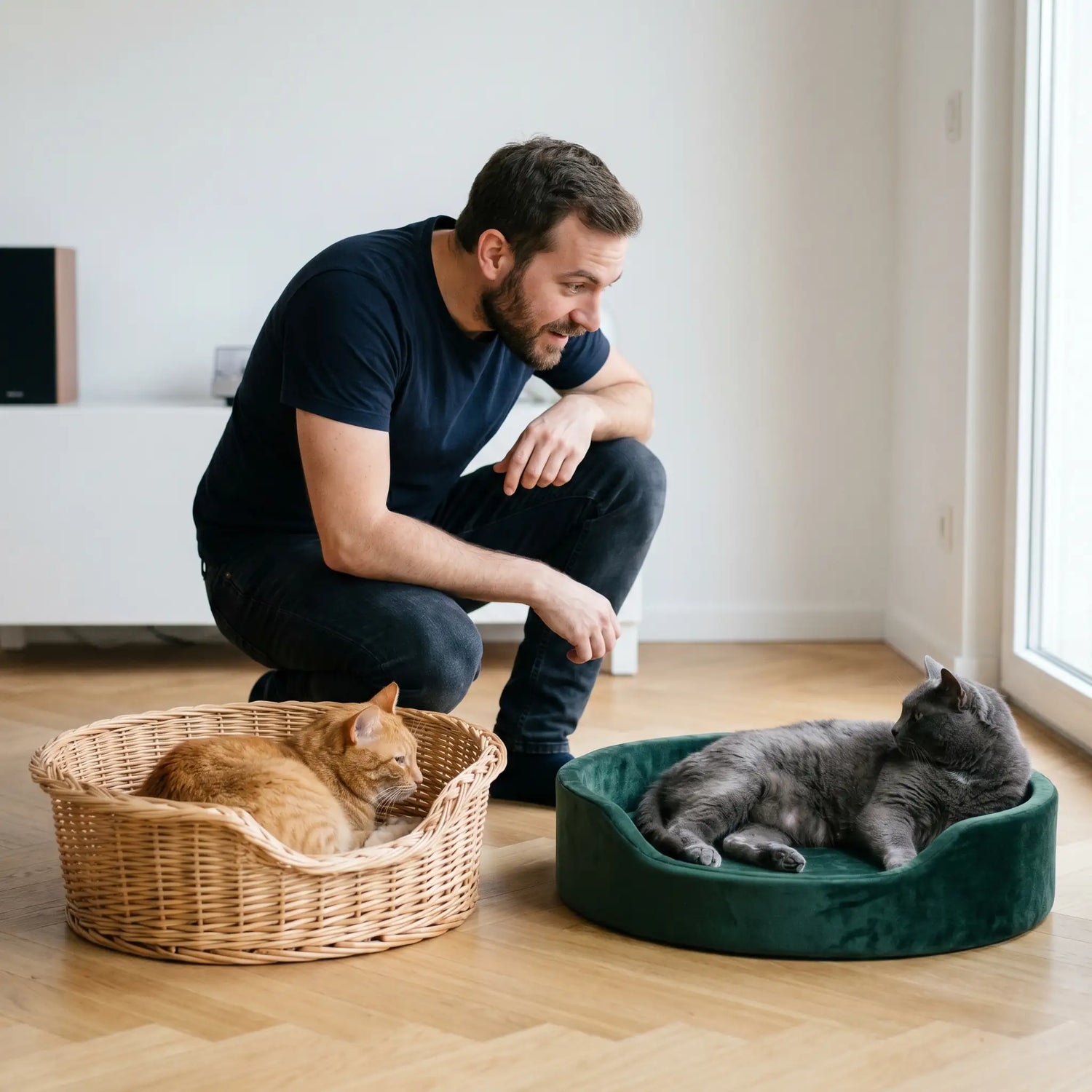 corbeille-chat-osier-tissus-vert-chat-gris-chat-roux-panier-pour-chat-confortable