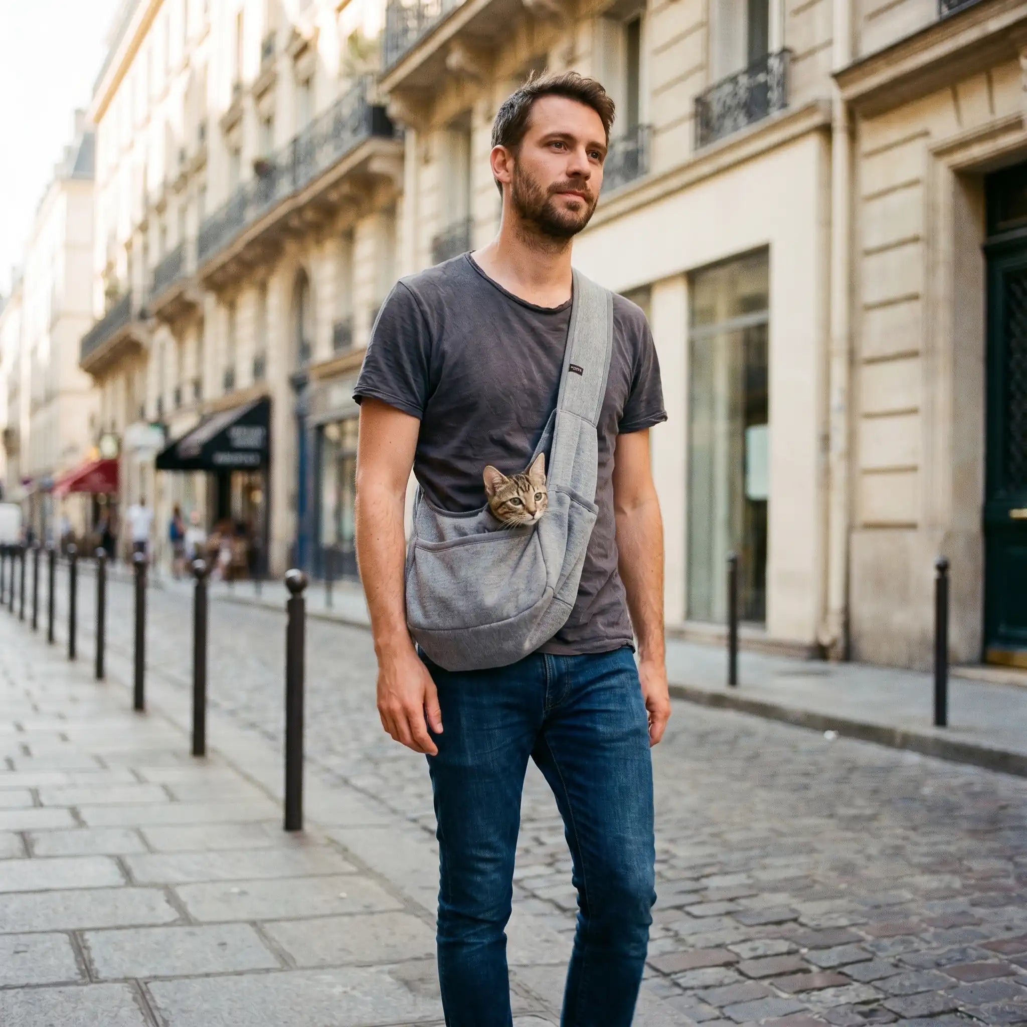 sac-de-portage-chat-chat-tabby-sac-ventral-trottoir-paris
