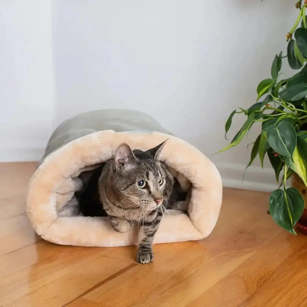 Chat se reposant dans un sac de couchage tunnel pour chat, intérieur chaud et sécuris