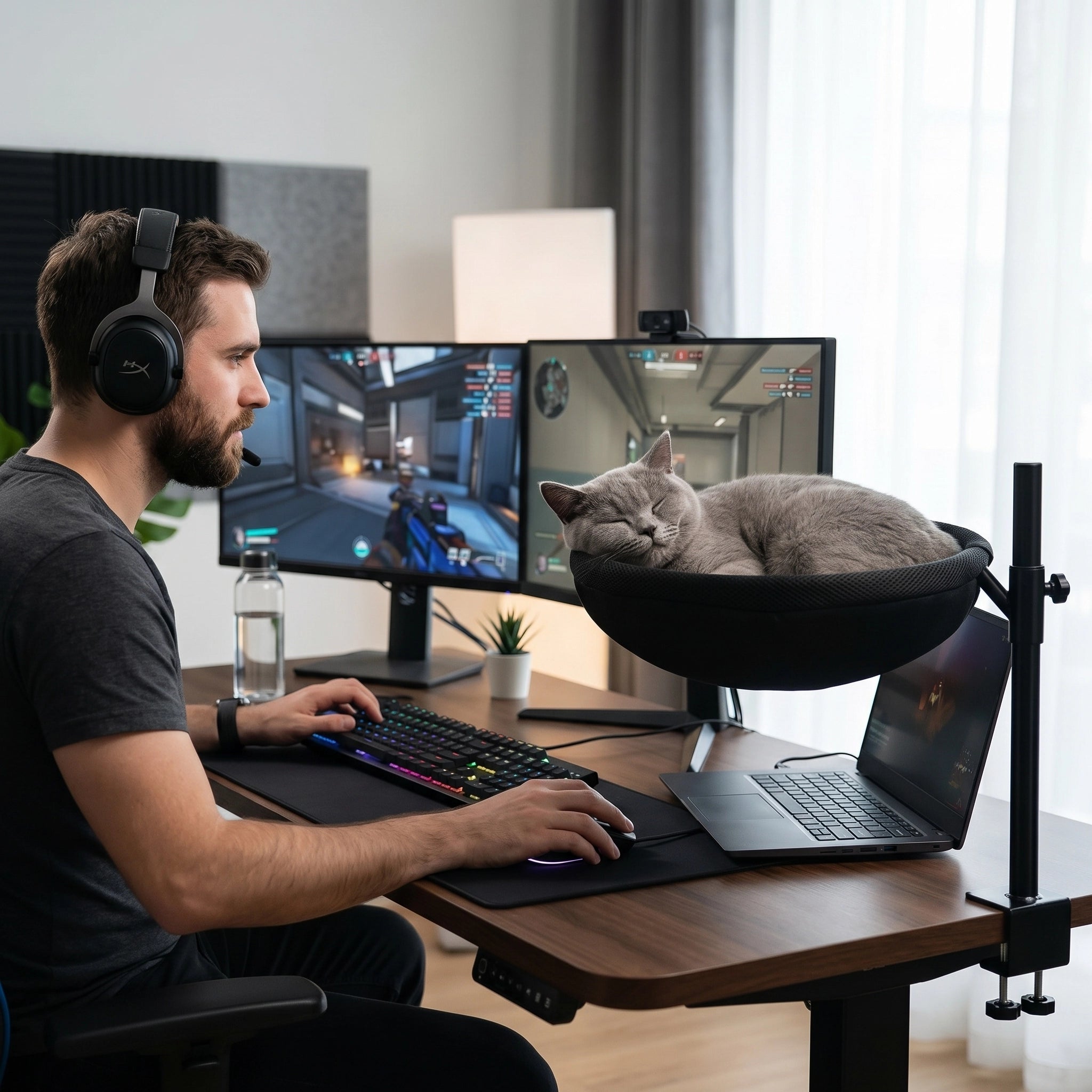 homme-30-ans-jouant-au-pc-avec-un-chat-qui-dors-sur-son-panier-suspendus-au-bureau