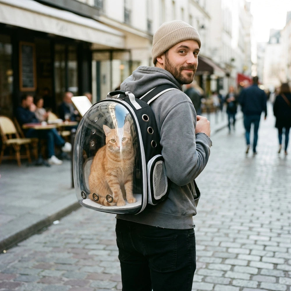 Sac à dos pour chat transparent