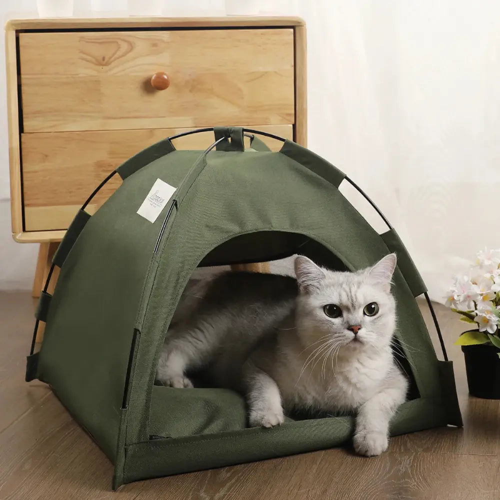 chat blanc allongé dans une tente pour chat verte imperméable