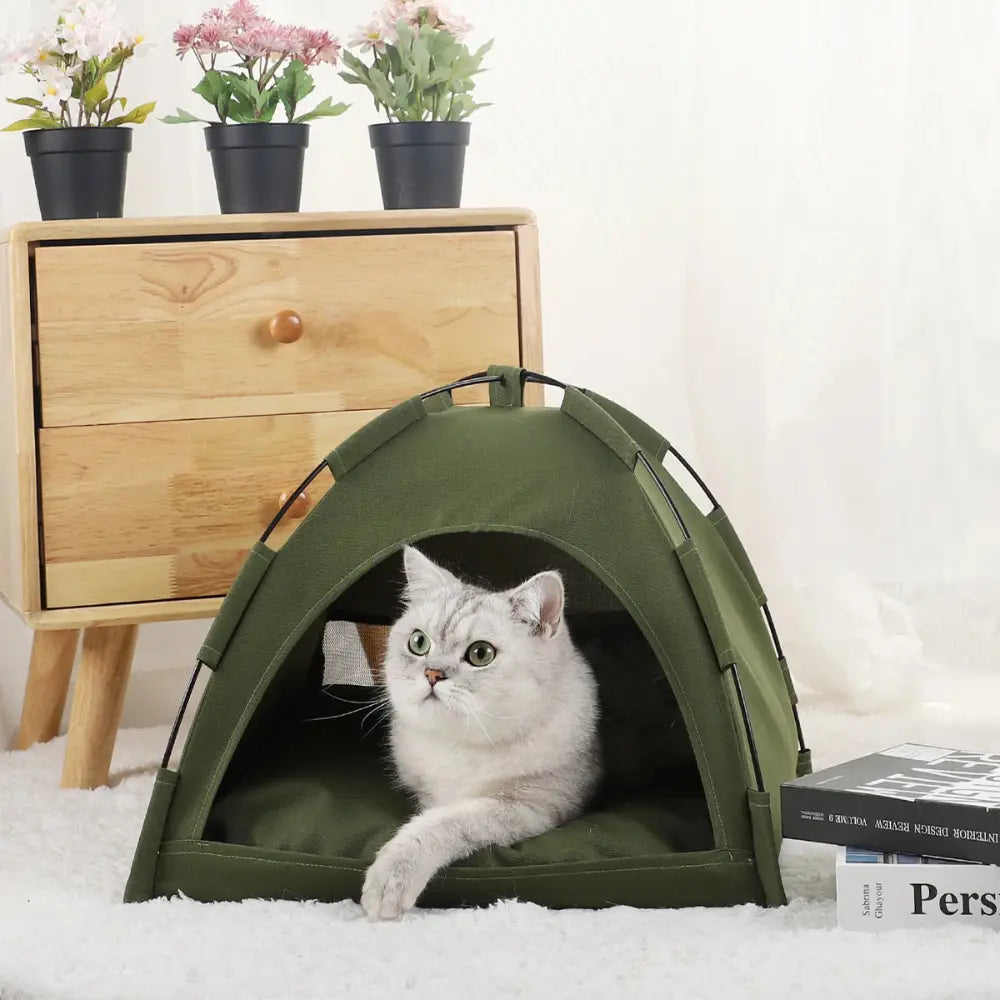 chat gris reposant dans une tente pliable pour chat adaptée à l’extérieur