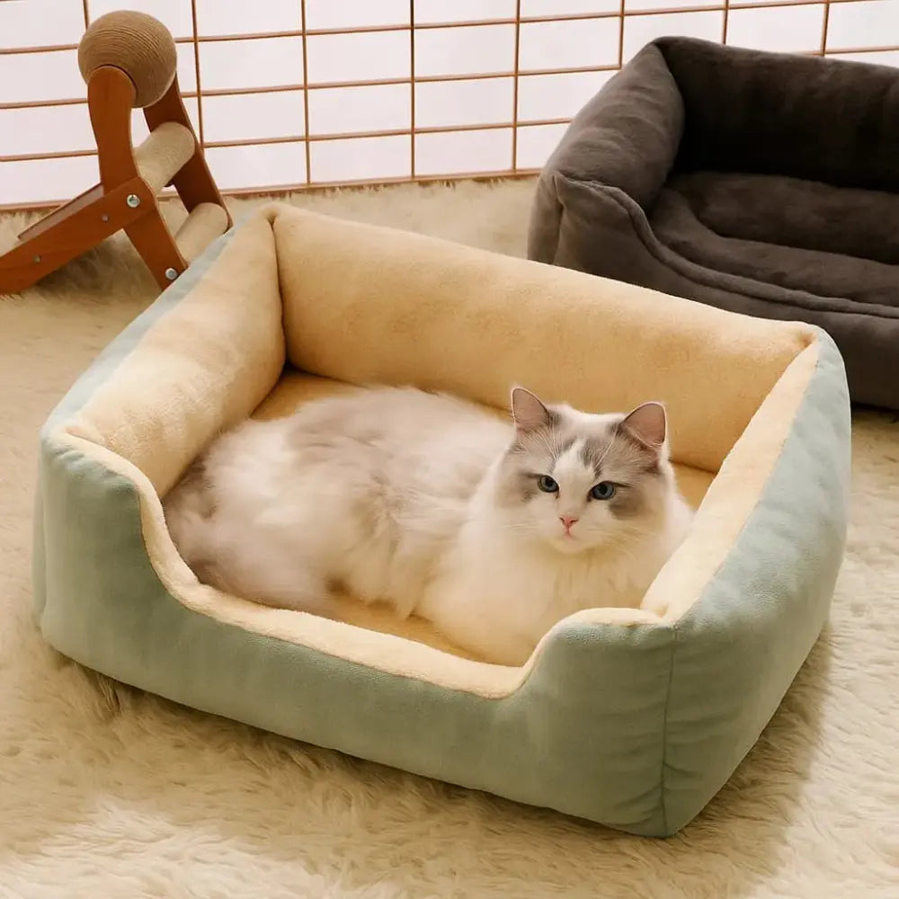 Chat blanc allongé dans un panier confortable en peluche vert et beige.