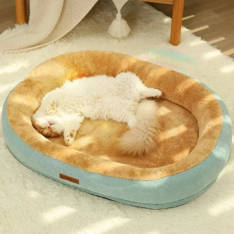 Chat allongé dans un panier rond moelleux, idéal pour la sieste et le repos.