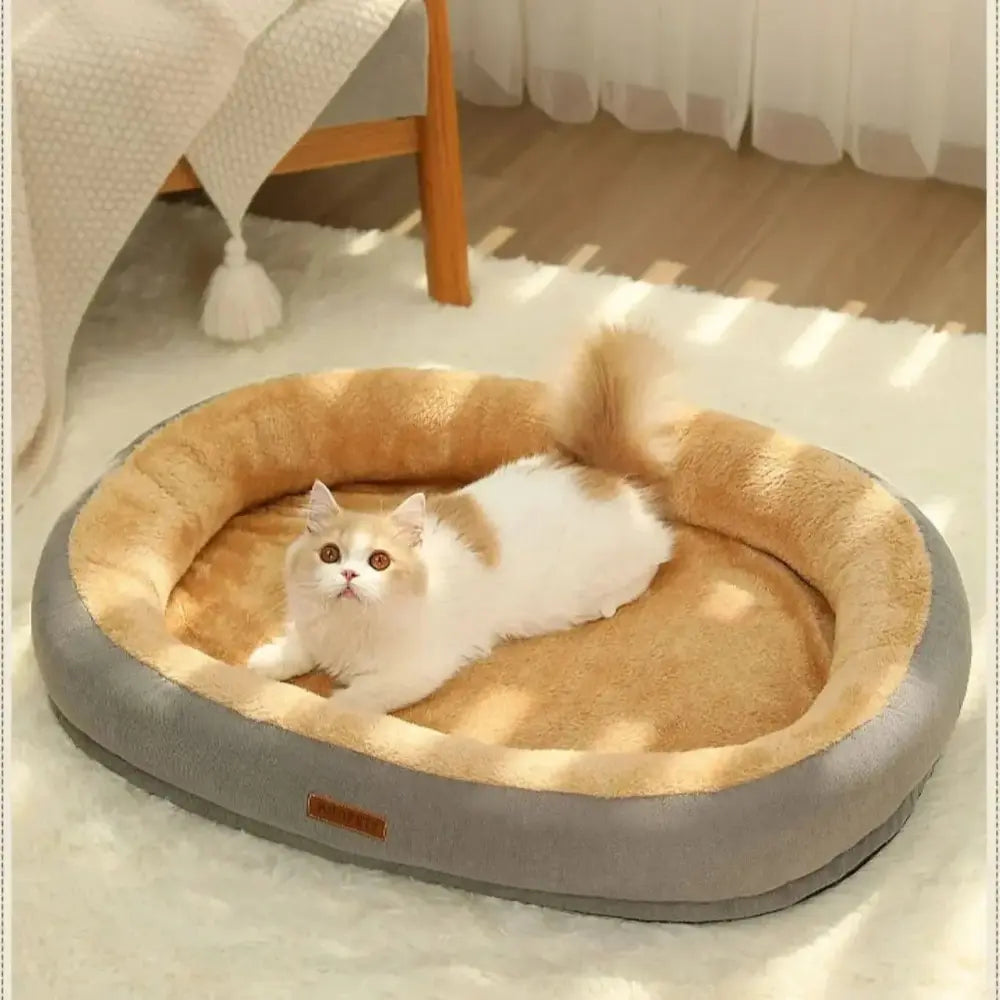 Chat blanc couché dans un panier rond gris et beige, confortable et respirant.