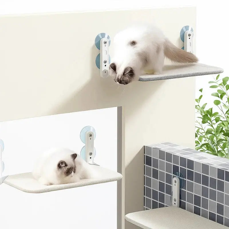 Chat sur hamac de fenêtre gris installé près d’un évier