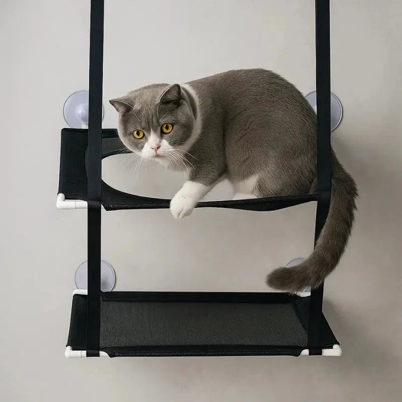 Chat posé sur un hamac de fenêtre noir fixé par ventouses