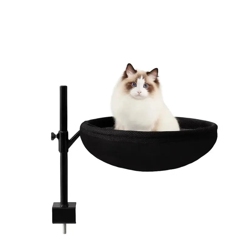 Chat assis dans un panier suspendu noir fixé au bureau par pince