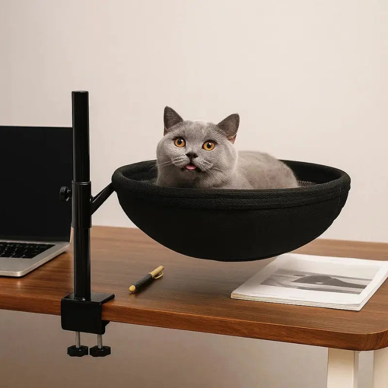 Chat couché dans le panier suspendu noir monté sur un bureau