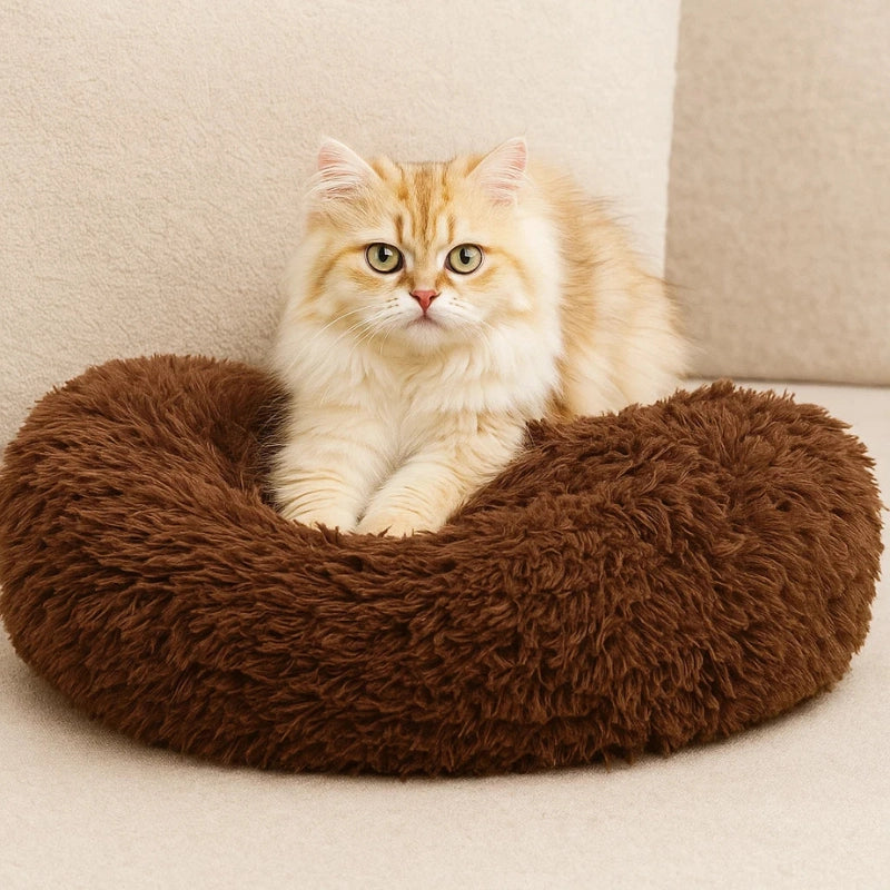 Chat installé dans un panier rond en peluche brun, confortable et chaud