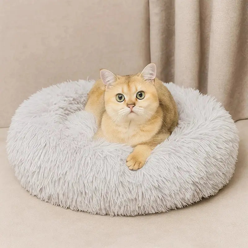 Chat reposant dans un panier rond gris en peluche longue, moelleux et lavable