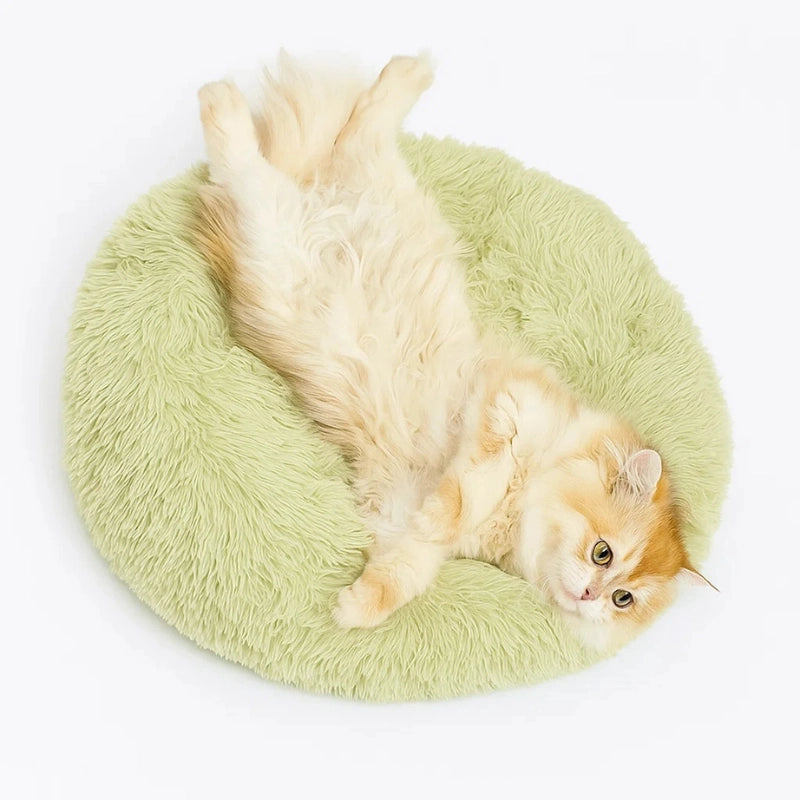 Chat allongé sur un panier rond en peluche vert clair, lit douillet et antistress