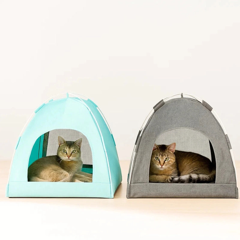 Deux chats installés côte à côte dans des paniers tente intérieurs