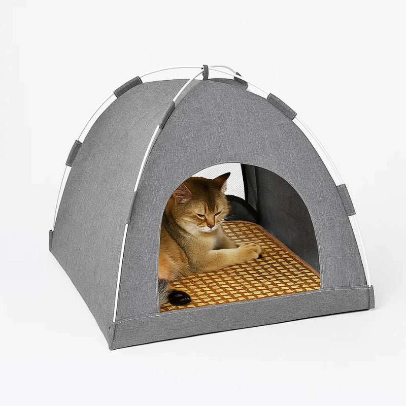 Chat installé dans un panier tente gris pliable pour intérieur