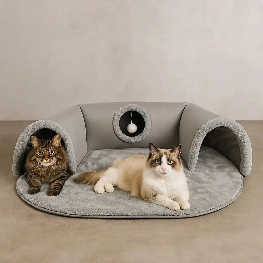 deux chats reposant dans un panier tunnel gris pliable et doux