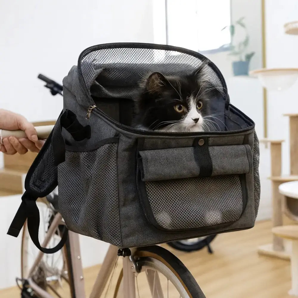 Panier pour chat fixé sur le guidon d’un vélo, permettant de transporter son animal de compagnie lors des balades.