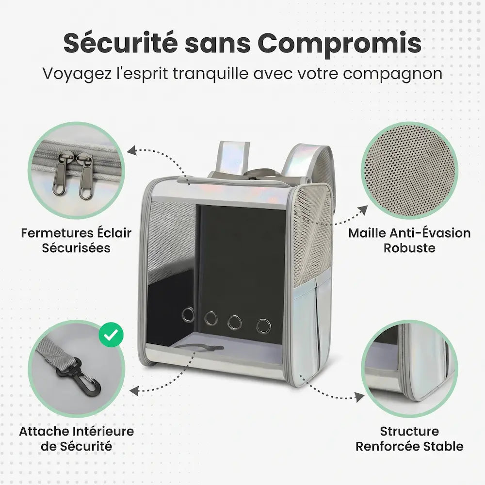 Vue détaillée du sac à dos de transport pour chat argenté et de sa coque transparente, présentant les éléments de maintien : une sangle d'attache intérieure avec mousqueton métallique, une fermeture éclair renforcée à double curseur, une base inférieure rigide et la structure de la façade avant.
