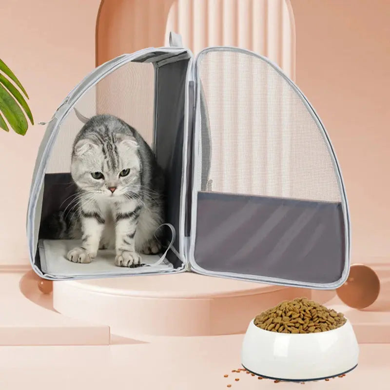 Dimensions du sac à dos pour chat en fibre résistante avec fenêtre arrière