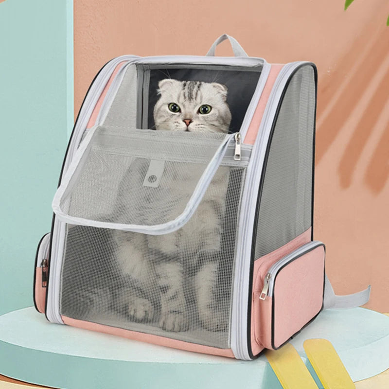 Chat blanc transporté dans un sac à dos ergonomique pour chat avec ouverture large.