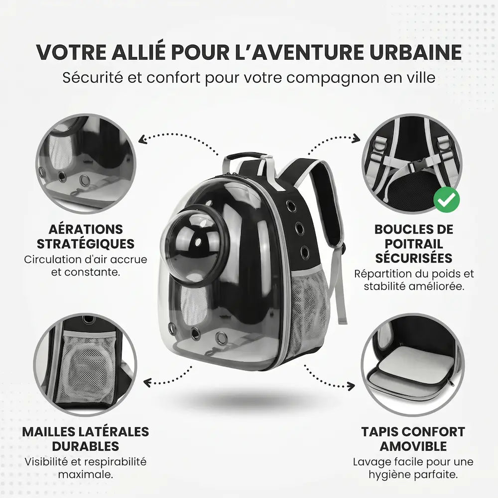 Sac à dos de transport noir pour chat avec petit hublot transparent, détaillant les éléments pratiques : orifices d'aération à l'avant, sangles avec boucles de maintien au poitrail, poches latérales en filet et tapis de fond amovible