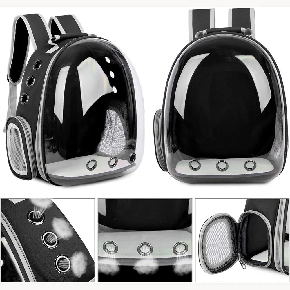 Sac de transport transparent noir en capsule rigide pour chat
