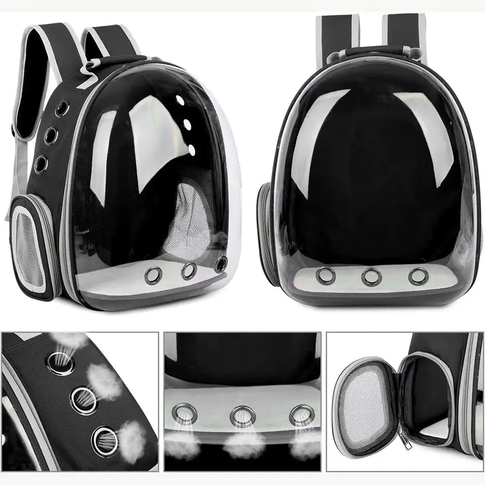 Sac de transport transparent noir en capsule rigide pour chat