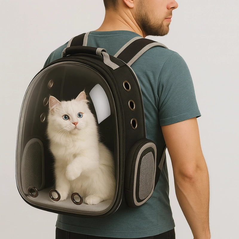 Chat blanc transporté dans un sac à dos transparent en capsule respirante