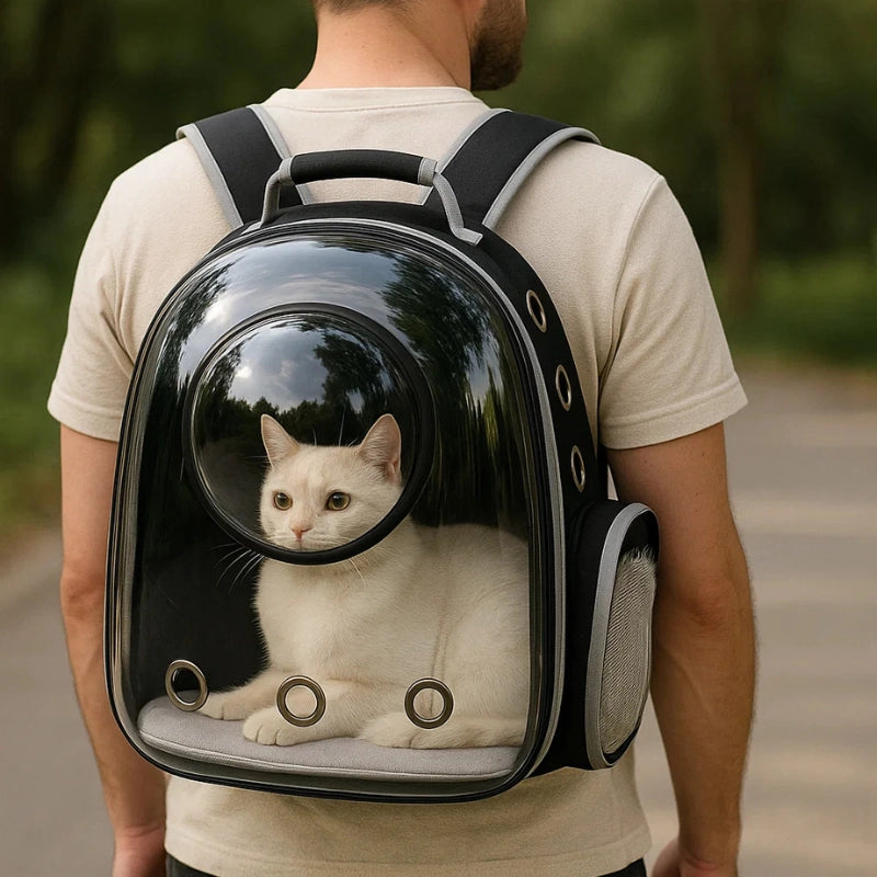 Chat blanc transporté dans un sac à dos noir transparent avec hublot respirant