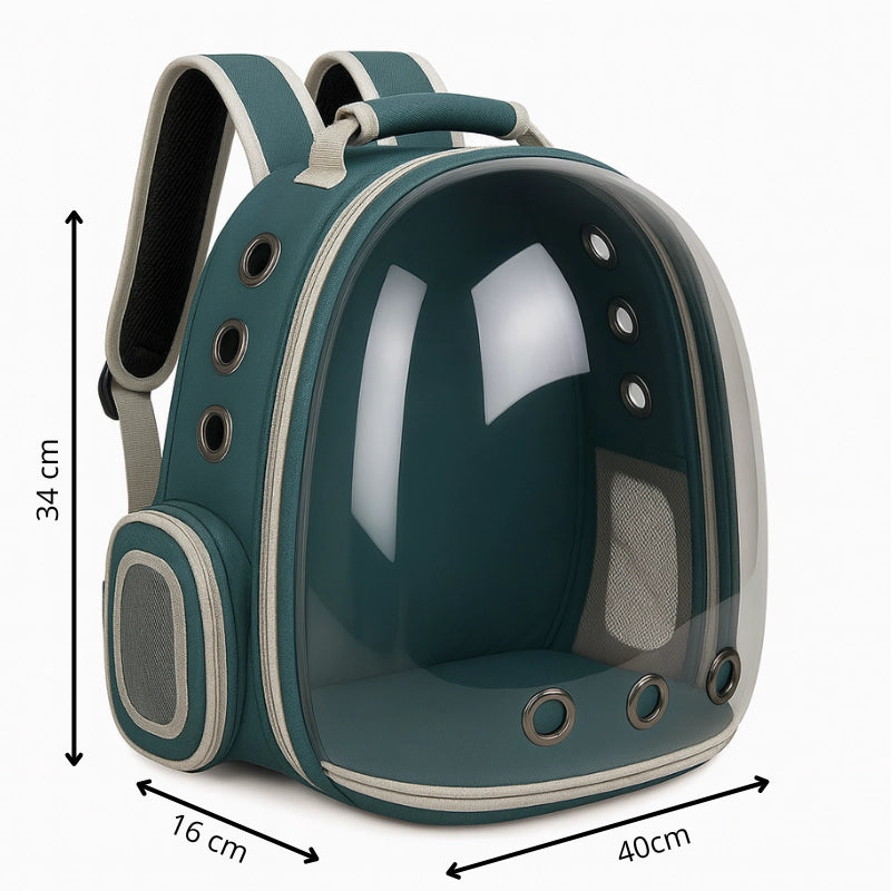 Vue latérale du sac à dos vert transparent pour chat avec dimensions