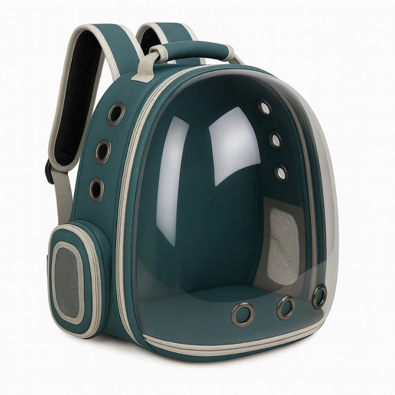 Sac à dos transparent vert pour transporter un chat en toute sécurité