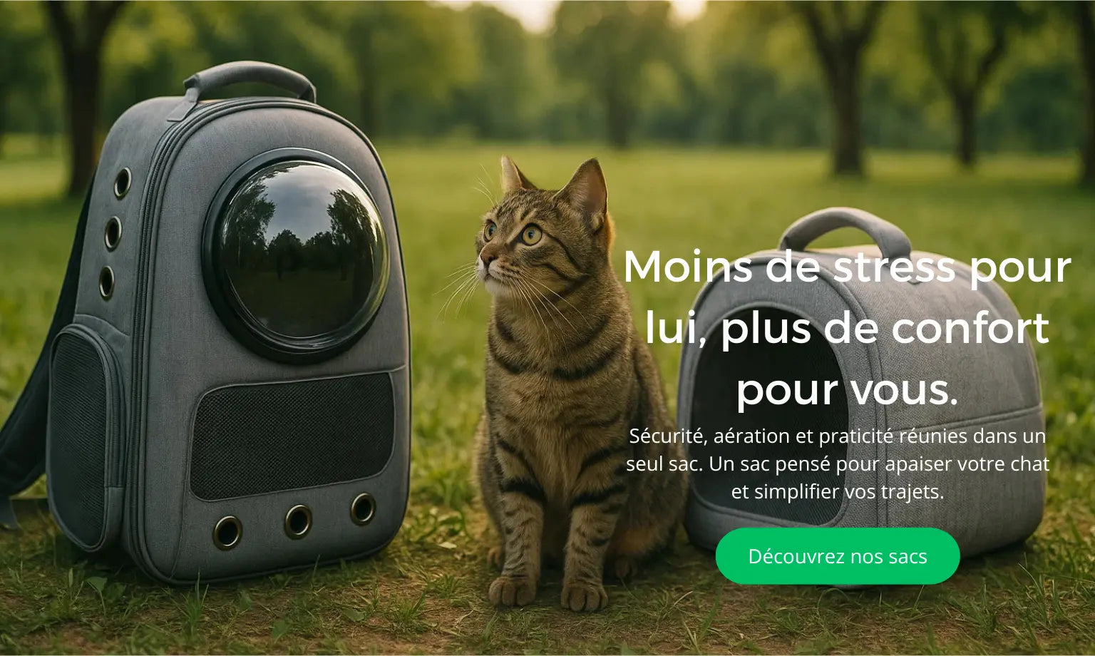 Chat assis à côté d’un sac à dos de transport ventilé pour animaux, dans un parc verdoyant.