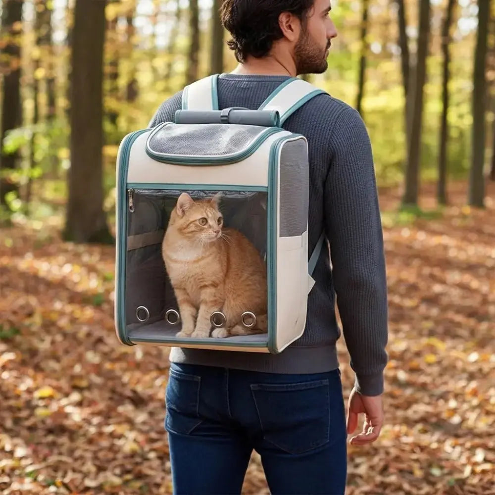Chat roux assis dans un sac à dos de transport beige et vert transparent, porté par un homme marchant en forêt.