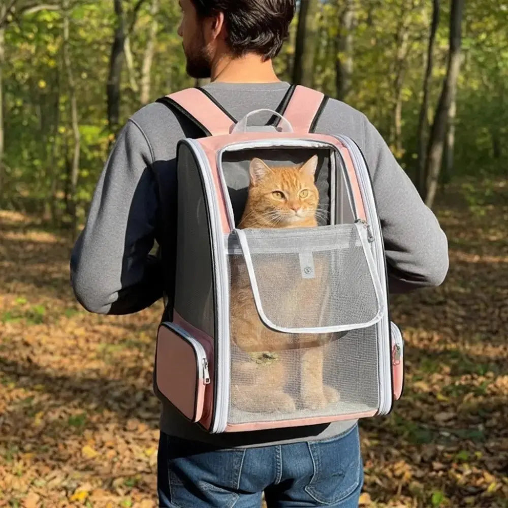Chat roux assis dans un sac à dos de transport rose avec ouverture en maille respirante, porté par un homme en forêt.