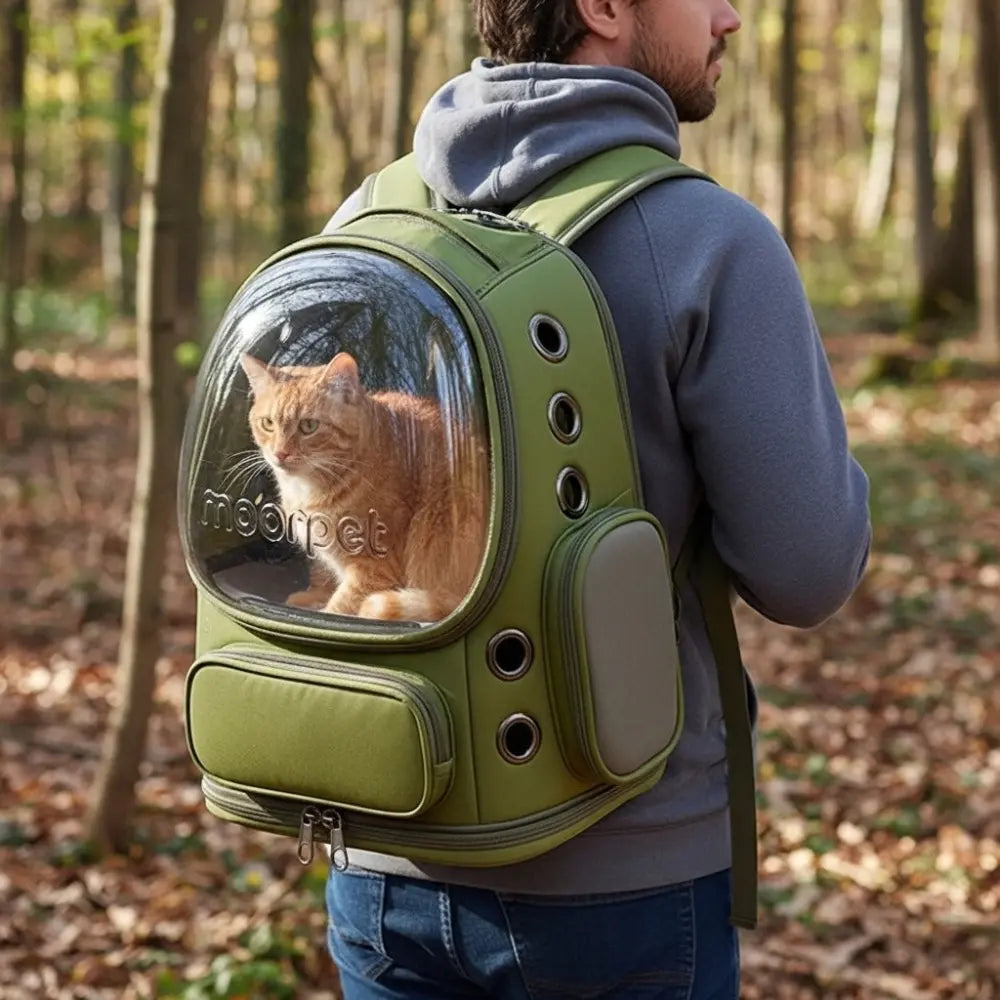 Chat roux dans un sac à dos de transport vert de la marque Moorpet, porté par un homme en promenade dans la forêt.