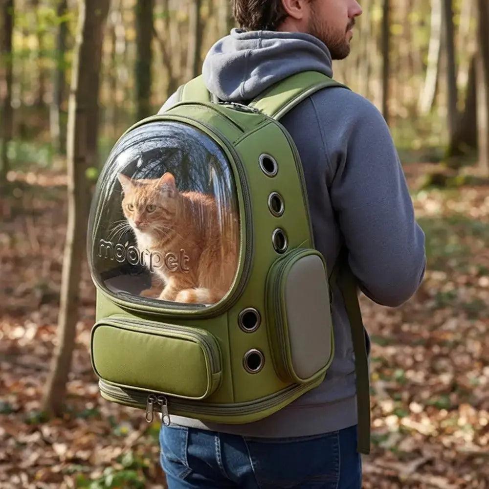 Chat roux dans un sac à dos de transport vert de la marque Moorpet, porté par un homme en promenade dans la forêt.