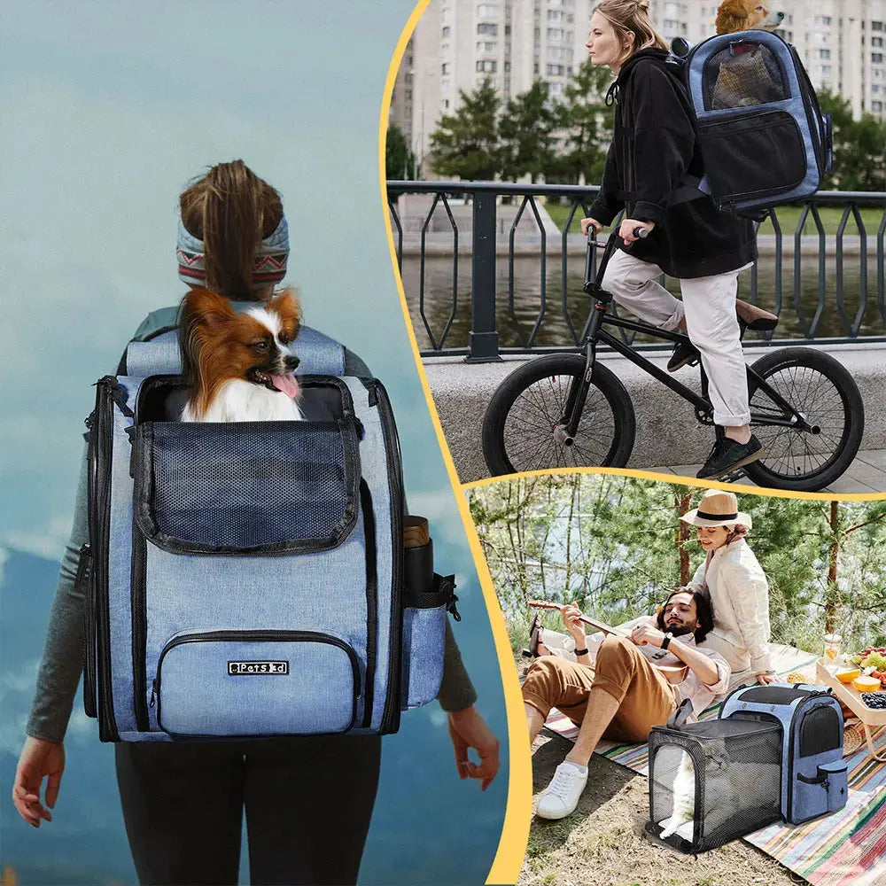 Sac à dos extensible pour transporter un chat en promenade, pratique et sécurisé.