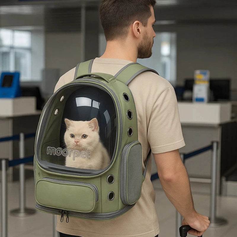 Sac à dos de transport vert porté au dos pour transporter un chat en toute sécurité