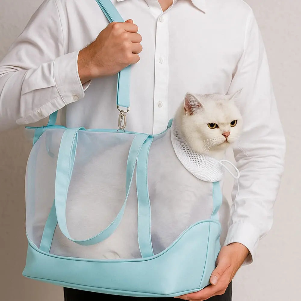 Chat blanc transporté dans un sac ventral bleu pour chat avec bandoulière réglable.