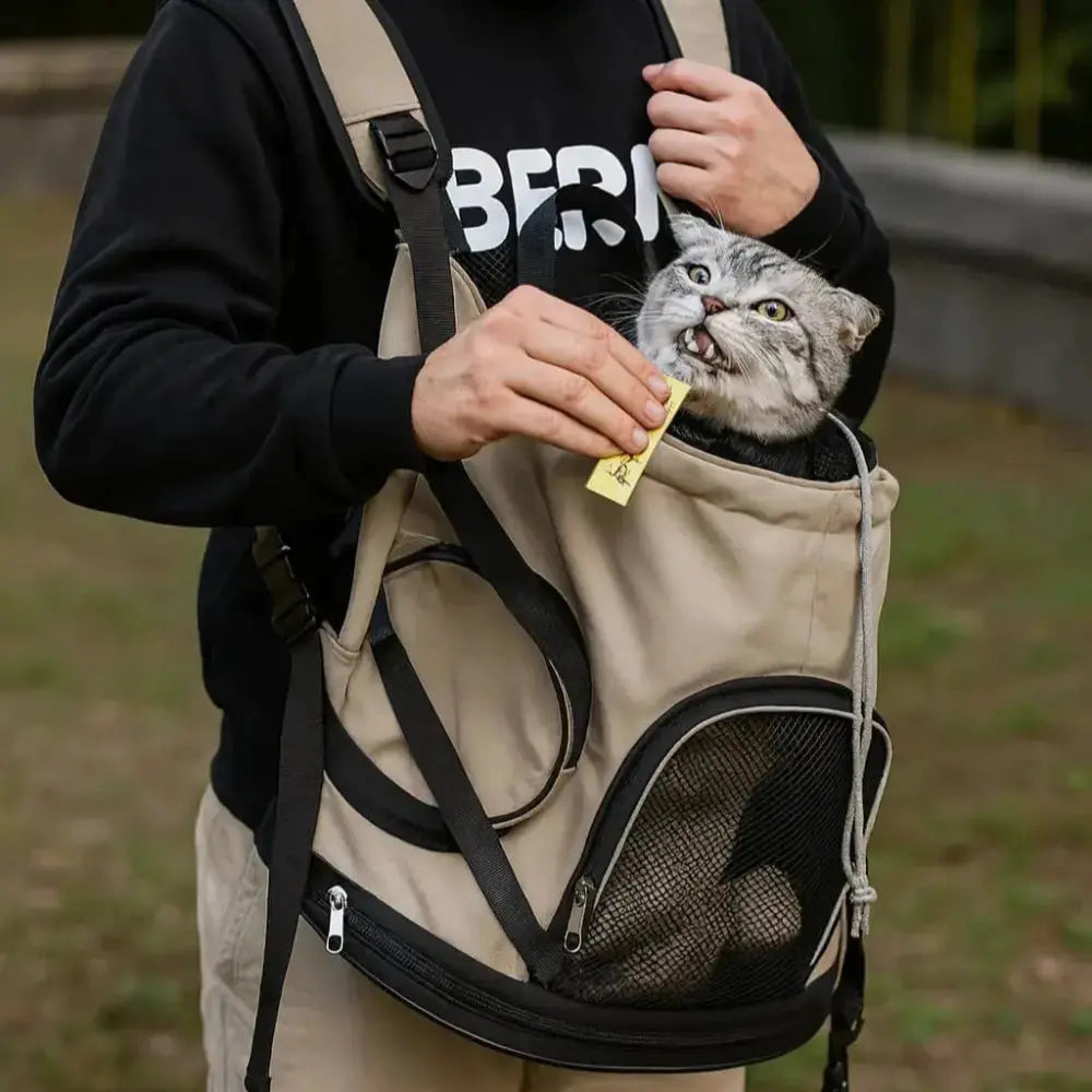 Chat installé dans un sac ventral confortable pour transport sécurisé et pratique.