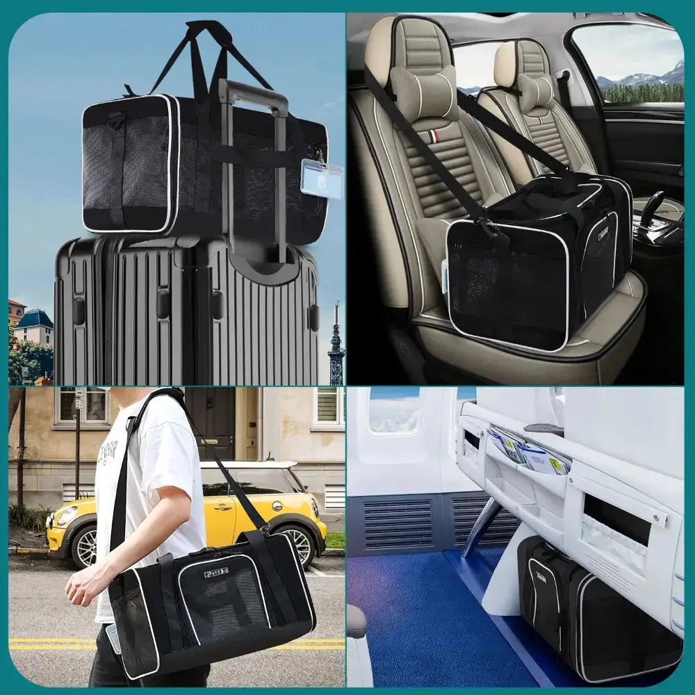 sacpourchatdetransportavionvoituresangle