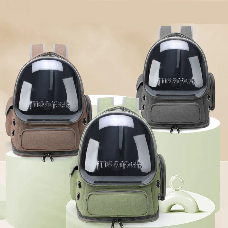 Différents modèles de sacs à dos transparents pour chat en vert, gris et noir