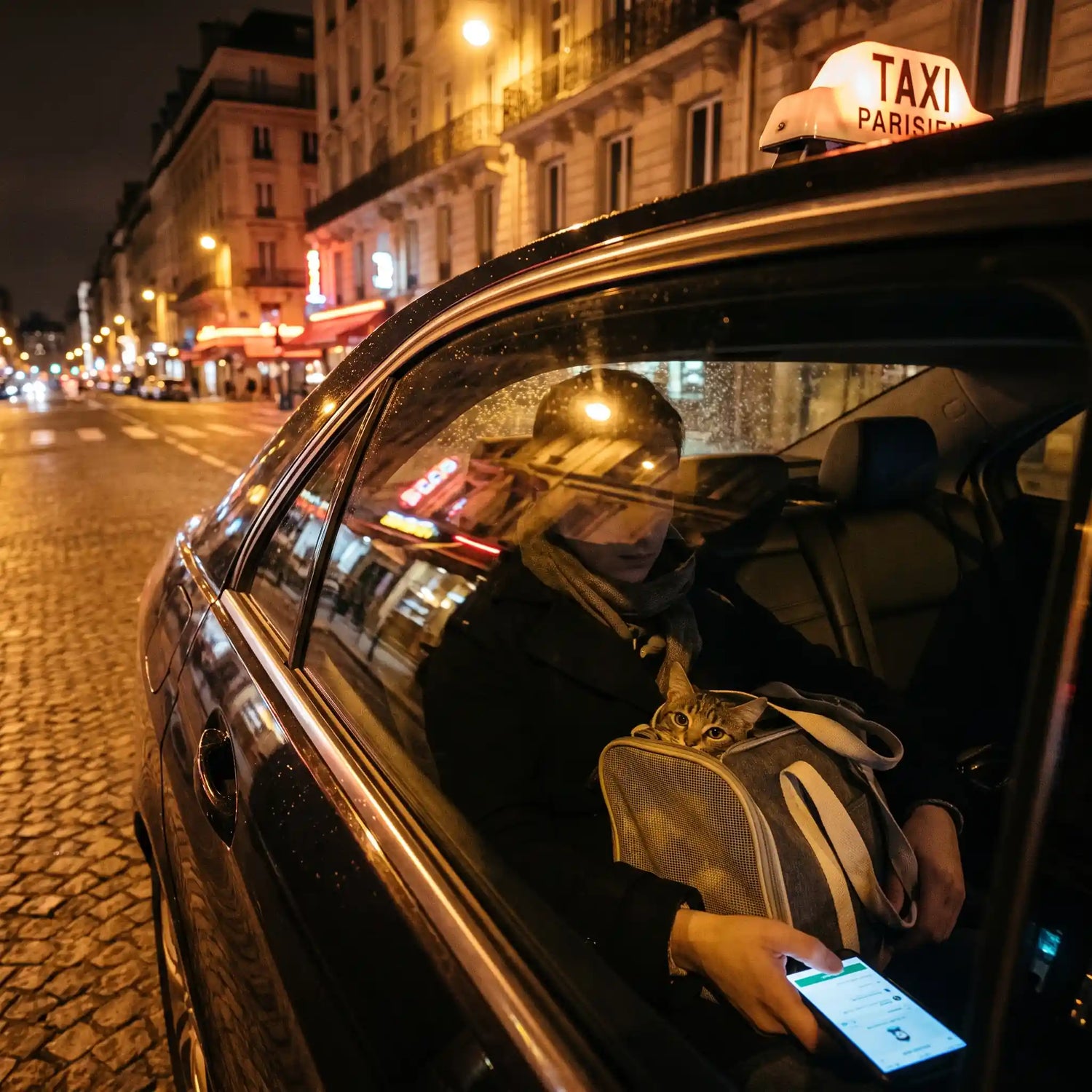 chat-transport-taxi-uber-paris-vtc-animaux-france-chat-dans-un-taxi-parisien