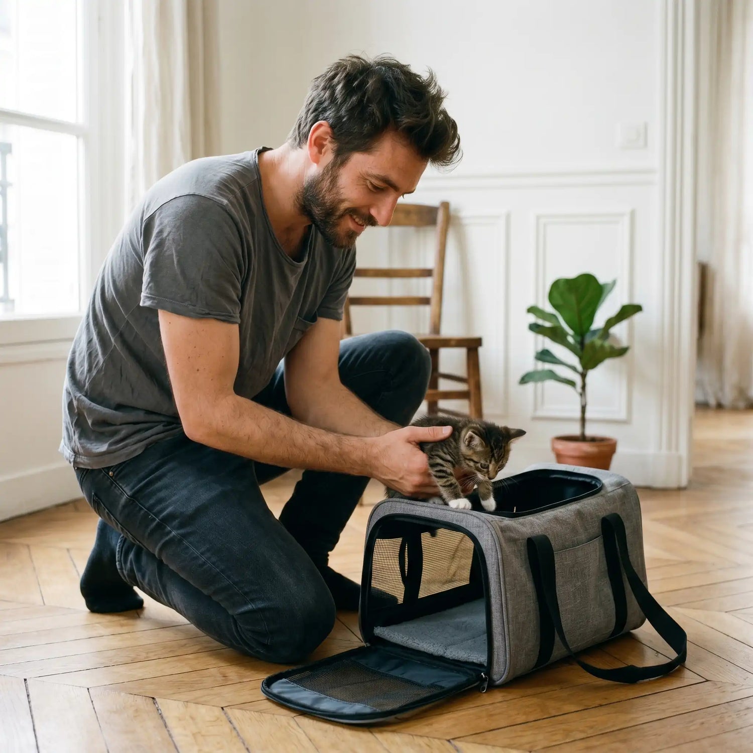 sac-transport-chaton-tabby-premier-trajet-appartement-parisien