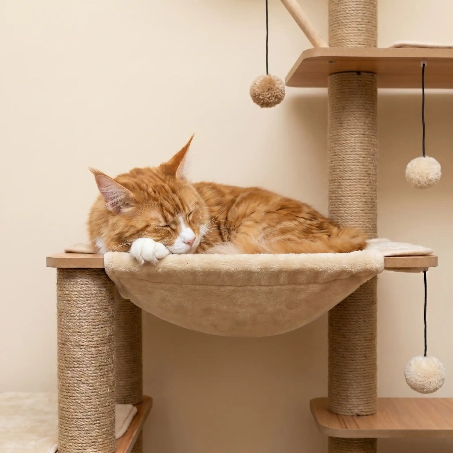 chat-roux-qui-dors-en-hauteur-dans-un-panier-pour-chat