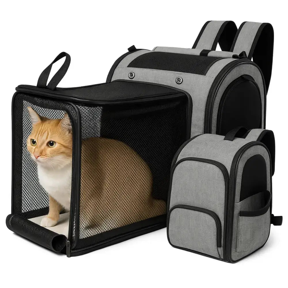 Chat roux assis à l'intérieur de l'extension en filet noir du sac à dos de transport gris.