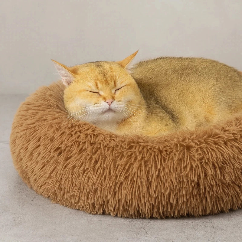 Chat endormi sur panier rond brun, rembourrage épais et apaisant