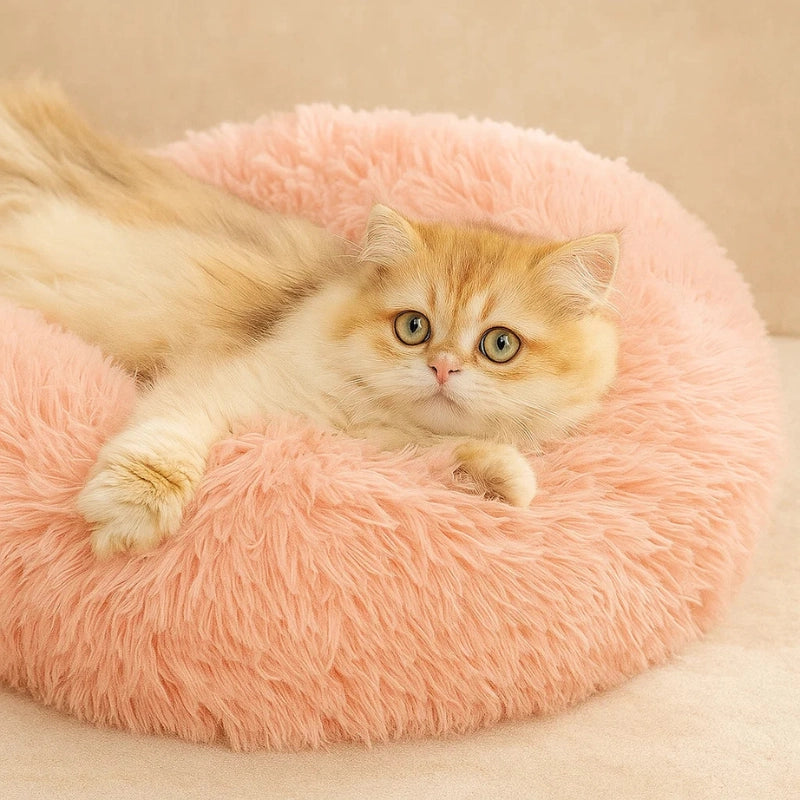 Chat couché dans un panier rond en peluche rose, coussin doux pour siestes